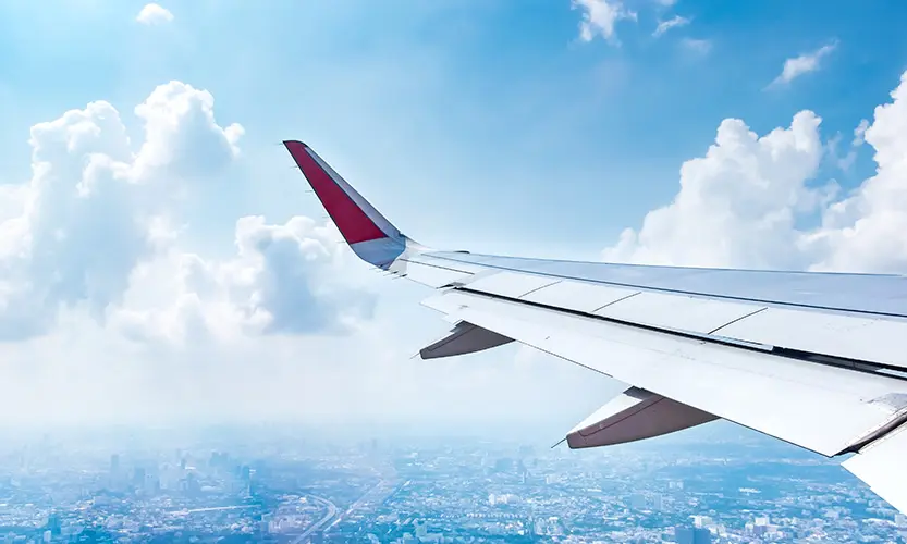 flight